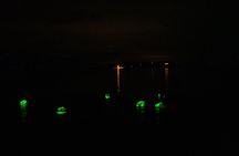 Bioluminescent Swim Experience in West Cork with Storytelling
