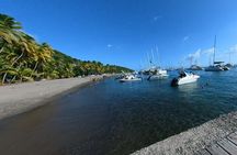 Historical and Panoramic Tour along Caribbean Coast and in Tropical Forest