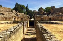 Private hald day tour to the historic roman city of Italica 