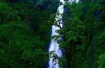 Materuni waterfall - coffee tour OR Chemka hot spring Tour