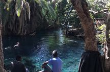 Materuni waterfall - coffee tour OR Chemka hot spring Tour