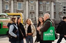Dublin in a Day: Dublin Castle, Book of Kells, Guinness & Whiskey