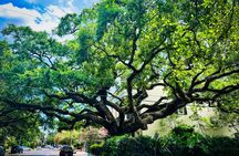 Garden District Walking Tour