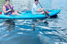 Dolphin and Manatee Kayak and SUP Adventure Tour of Cocoa Beach