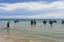 Private ATV, Horse Back Ride & Blue Hole Experience in Ocho Rios