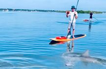 Dolphin and Manatee Kayak and SUP Adventure Tour of Cocoa Beach