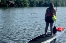 Dolphin and Manatee Kayak and SUP Adventure Tour of Cocoa Beach