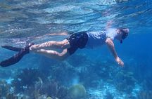 Klein Bonaire Marine Park Snorkeling Excursion