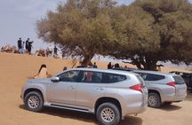 Small Sahara Private Day Tour