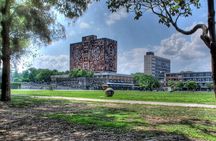 EXCLUSIVE TOUR: Murals+Ciudad Universitaria Stadium-small groups