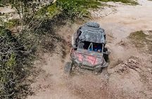 Cozumel Razor Expeditions: Jungle & Beach getaway 