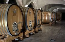 Tour Privado: Bodegas por el día en Mendoza