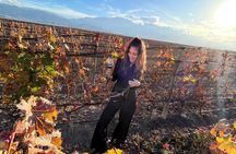 Tour Privado: Bodegas por el día en Mendoza
