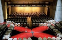 Tour Privado: Bodegas por el día en Mendoza