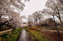 Mt Fuji day trip from Tokyo by car with photographer guide
