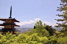 Mt Fuji day trip from Tokyo by car with photographer guide