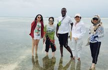 A Half Day Private Dolphins And Snorkeling Tour To Mnemba Island