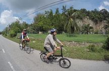 The BEST of Kuala Lumpur Experience by Cycling Tour