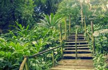 Full Day Nadi Discover Tour ( From Sigatoka Coral coast Hotels )