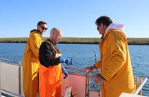 Sea Fishing Experience from Reykjavik