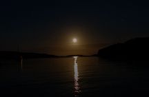 Bioluminescent Swim Experience in West Cork with Storytelling