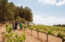  Full-Day Trip Barcelona to Montserrat Monastery & Cava Winery