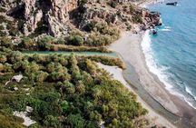 Preveli Beach and Plakias Full Day Trip From Panormo and Lavris