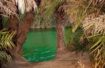 Preveli Beach and Plakias Full Day Trip From Panormo and Lavris