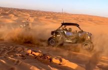 Doha, Qatar: Desert Safari, Inland sea and Camel Ride Adventure.
