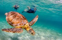 Bestseller! Tulum Private Tour with Turtles and Cenote Snorkeling