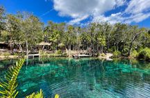Bestseller! Tulum Private Tour with Turtles and Cenote Snorkeling