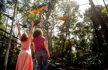 Brazilian Side of the Cataratas and Parque Das Aves with tickets
