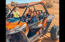 Evening Desert Safari Camel Ride Live Shows Shisha Dinner 