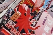 Osaka Highlight Tour: 3-Hour Walking Tour (Namba to Shinsekai)