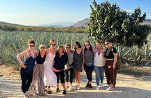 Full-Day Zapotec Experience in Oaxaca