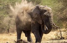 7-day River Cross Serengeti Wildebeest Migration