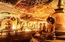 All Inclusive Sigiriya and Dambulla Day Tour from Colombo