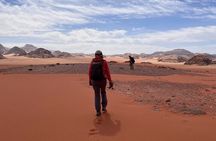 2 night Camel Trekking Wadi Rum, Jordan with camping & all meals