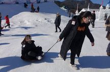 Snowyland, Strawberry Picking & Alpaca World