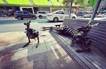 Best of Brisbane Walking Tour: local guide, snack, small group