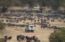 6 Days Enchanting Tanzania Safaris - Mid Range Safari