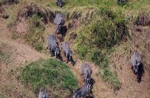 *5-Day Camping Safari*