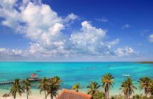 Full Day Nature Expedition to Contoy Island and Isla Mujeres