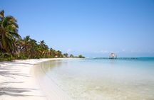 Full Day Nature Expedition to Contoy Island and Isla Mujeres