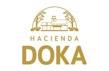 Hacienda Doka Coffee Experience Tour 
