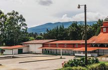 Hacienda Doka Coffee Experience Tour 