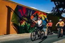Semi-Private Road to San Nicolas Culture Heritage by E-Bike Aruba