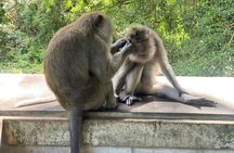 Best Of Ubud Private Day Tour With Local Guide