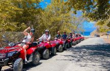 3 Hour ATV Adventure Tour in El Jobo