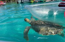 Clear Kayak Tour